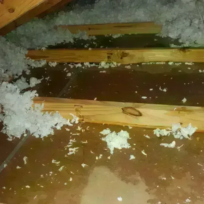 Attic Water Damage in Covington, LA