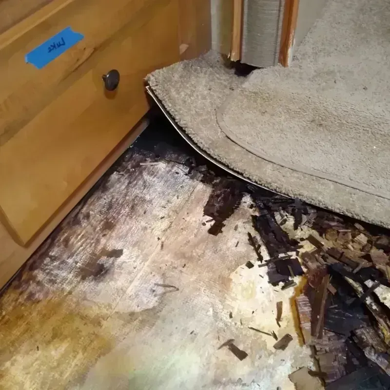 Wood Floor Water Damage in Covington, LA